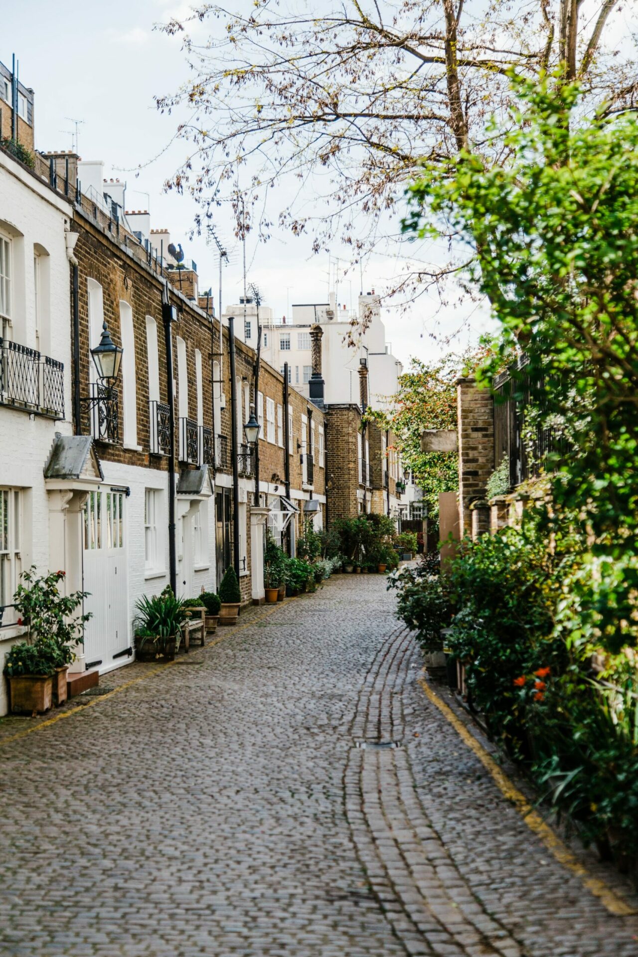 Gospel Oak Property & Area Guide | Property Agents NW3 | Hotblack